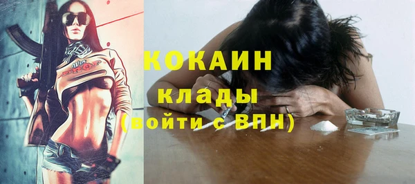 mdpv Новозыбков