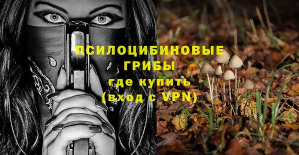 mdpv Новозыбков
